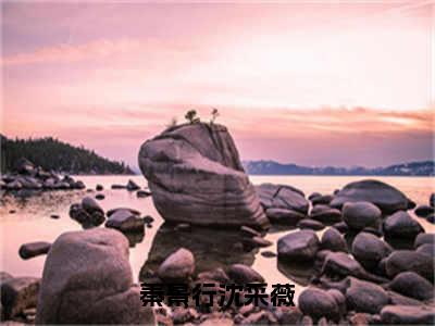 秦景行沈采薇无广告小说免费阅读，秦景行沈采薇秦景行沈采薇完结小说在线阅读