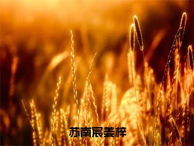 苏南宸姜梓（苏南宸姜梓）精彩小说-小说苏南宸姜梓全文无删减版免费阅读