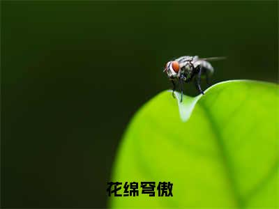 花绵穹傲小说全文免费阅读无弹窗大结局_花绵穹傲花绵穹傲最新章节列表_笔趣阁（花绵穹傲）