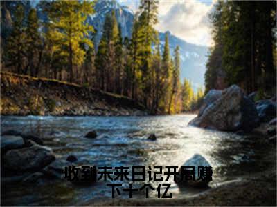 小说《收到未来日记开局赚下十个亿》全文免费阅读无弹窗-时茉小说全文在线赏析