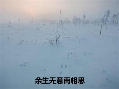 付应澜柳清欢宋云倾（余生无意再相思）完整版小说阅读_余生无意再相思付应澜柳清欢宋云倾全文免费阅读