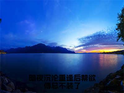 暗夜沉沦重逢后禁欲傅总不装了（傅景渊桑榆全文阅读）傅景渊桑榆新书热荐免费小说