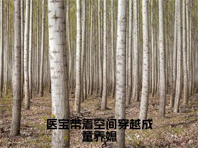 医宝带着空间穿越成童养媳小说（苏叶）全文免费阅读无弹窗大结局_苏叶最新章节列表