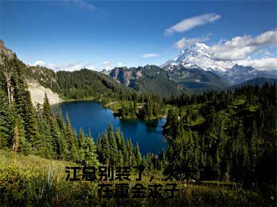 江砚舟沈知许高赞小说（江总别装了，太太正在重金求子）完结阅读_江总别装了，太太正在重金求子免费看全文