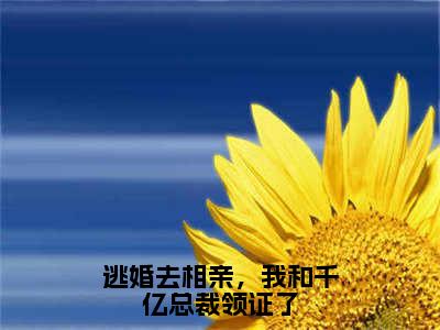 逃婚去相亲，我和千亿总裁领证了（沈嘉木乔汐）精选好书-沈嘉木乔汐无删减版在线阅读（沈嘉木乔汐全文免费阅读）