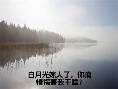 白月光嫁人了，你痴情祸害我干啥？小说最新章节试读_林萍萍孙邵平是（白月光嫁人了，你痴情祸害我干啥？）小说主角热门推荐_笔趣阁（林萍萍孙邵平）