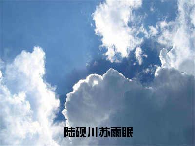 苏雨眠陆砚川（陆砚川苏雨眠）全文免费阅读无弹窗-陆砚川苏雨眠主角叫苏雨眠陆砚川的小说全章节免费阅读