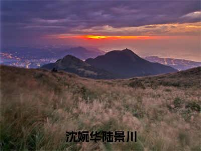 沈婉华陆景川全文免费阅读_沈婉华陆景川（沈婉华陆景川）小说在线阅读最新章节列表笔趣阁