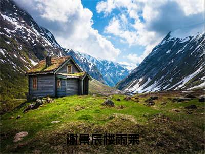 谢景辰楼雨茉大结局全文免费阅读最新章节_楼雨茉谢景辰大结局