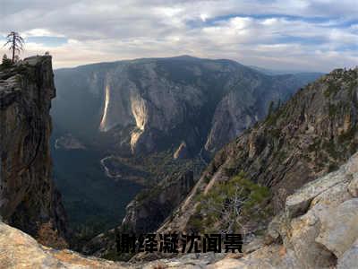 谢绛凝沈闻景（谢绛凝沈闻景）小说全文-谢绛凝沈闻景小说免费阅读大结局