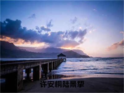 许安桐陆景挚许安桐陆景挚完整全文在线阅读许安桐陆景挚全文大结局阅读无弹窗