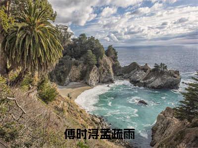 傅时浔孟疏雨（孟疏雨傅时浔）完整版小说阅读_-傅时浔孟疏雨最新章节列表（孟疏雨傅时浔）