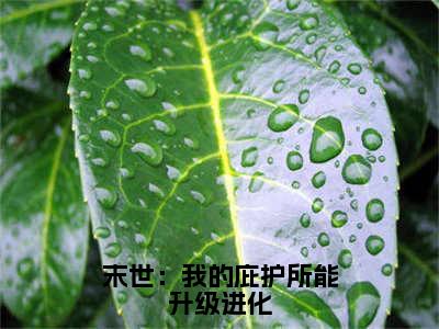 末世：我的庇护所能升级进化（林远）全文免费完结版阅读_（林远）末世：我的庇护所能升级进化最新章节列表笔趣阁