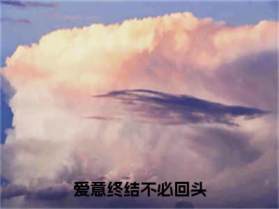 小说爱意终结不必回头免费阅读-（黎听雪傅云翼）全文无弹窗阅读