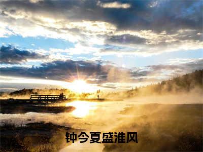 钟今夏盛淮风免费阅读-（钟今夏盛淮风）全文免费阅读无弹窗大结局（盛淮风钟今夏）最新章节列表_笔趣阁