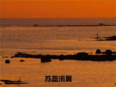 流翼苏盈（苏盈流翼）全文免费阅读无弹窗_流翼苏盈苏盈流翼最新章节免费阅读_笔趣阁