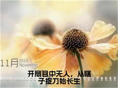 开局目中无人，从瞎子捉刀始长生全文免费阅读无弹窗（小说全文免费阅读）郭长生最新章节列表