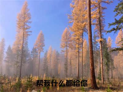 帮我什么都给你小说（花荨许君）全文免费阅读无弹窗大结局_花荨许君小说免费阅读无弹窗最新章节列表