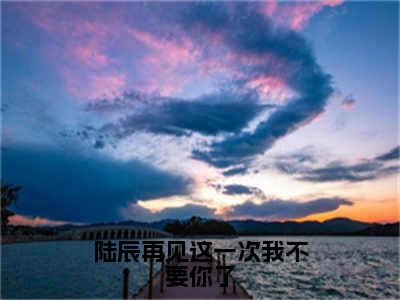 陆辰林夕月独家小说陆辰再见这一次我不要你了-陆辰林夕月无删版小说推荐