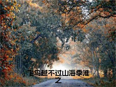 飞鸟越不过山海季淮之小说（顾洛鸢季淮之）全文免费阅读无弹窗_飞鸟越不过山海季淮之小说最新章节免费阅读_笔趣阁（顾洛鸢季淮之）