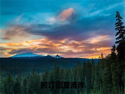 顾汀雨夏淮岸免费小说-顾汀雨夏淮岸完结版在线阅读