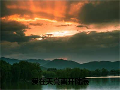 林夕月陆辰（爱在天亮离开陆辰）全文免费阅读无弹窗大结局_爱在天亮离开陆辰（林夕月陆辰免费阅读）_笔趣阁