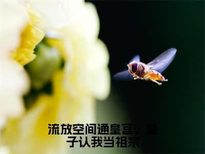 谢司宇乔苏（流放空间通皇宫，皇子认我当祖宗）全网首发小说-小说流放空间通皇宫，皇子认我当祖宗（谢司宇乔苏）完整版全文在线赏析