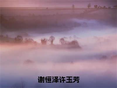 许玉芳谢恒泽（谢恒泽许玉芳）免费全文阅读小说_（许玉芳谢恒泽）谢恒泽许玉芳最新章节列表