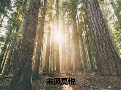 宋风夏悦（宋风夏悦）全文免费阅读无弹窗大结局_宋风夏悦最新章节列表_笔趣阁