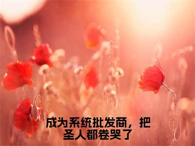 辰阳（成为系统批发商，把圣人都卷哭了）免费小说-（成为系统批发商，把圣人都卷哭了）完结版在线阅读