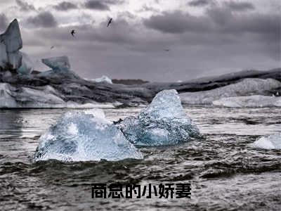 南凝雨商雲霆（商总的小娇妻）精选小说大结局阅读-抖音新书热荐南凝雨商雲霆