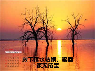 救下落水姑娘，娶回家宠成宝免费阅读无弹窗最新章节列表-（徐鹤陈怜本）全文免费阅读大结局笔趣阁（徐鹤陈怜本）