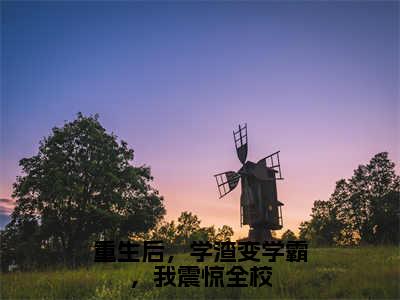 杨鸣（重生后，学渣变学霸，我震惊全校）的小说完整版免费阅读主角是（杨鸣）重生后，学渣变学霸，我震惊全校无弹窗免费阅读