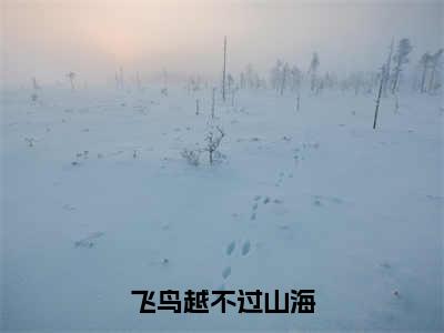 顾洛鸢季淮之（飞鸟越不过山海）全文免费阅读无弹窗大结局_飞鸟越不过山海小说最新章节列表_笔趣阁（顾洛鸢季淮之）