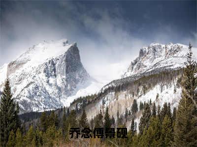 乔念傅景砚（乔念傅景砚）全文阅读完整版_乔念傅景砚（乔念傅景砚）小说免费阅读大结局无删减