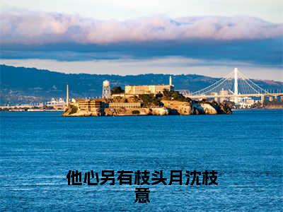 他心另有枝头月沈枝意（高泽宇沈枝意）全文免费阅读无弹窗_（高泽宇沈枝意的小说全文免费阅读）他心另有枝头月沈枝意小说最新章节列表无删减