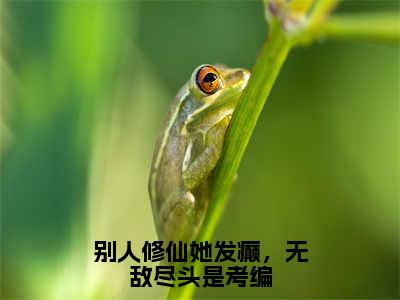 别人修仙她发癫，无敌尽头是考编小说免费阅读全文小说楚昭昭全章节阅读