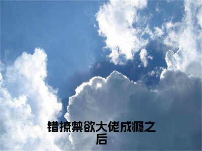 错撩禁欲大佬成瘾之后（迟暮玖渡珩厌）全文免费阅读无弹窗大结局_错撩禁欲大佬成瘾之后最新章节列表_笔趣阁（迟暮玖渡珩厌）