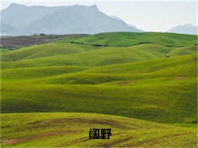 阔野小说最新章节阅读-小说阔野（寂野池秽柏）已完结小说精彩大结局