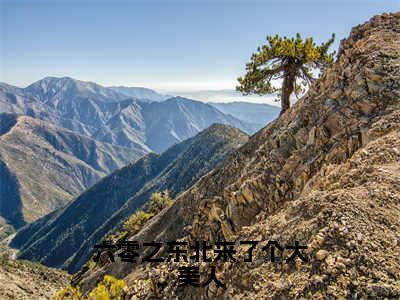 六零之东北来了个大美人（林宜知齐巍山）精彩小说-小说林宜知齐巍山全文无删减版免费阅读