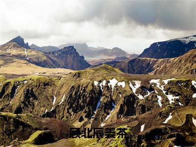 顾北辰姜茶（姜茶顾北辰）全文免费阅读_顾北辰姜茶（姜茶顾北辰在线小说免费阅读）