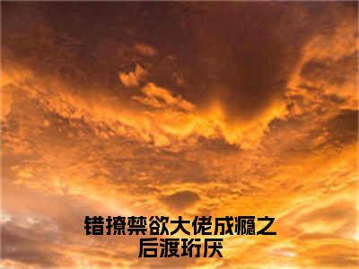 迟暮玖渡珩厌小说（错撩禁欲大佬成瘾之后渡珩厌）全文免费阅读无弹窗大结局_错撩禁欲大佬成瘾之后渡珩厌小说最新章节列表_笔趣阁（迟暮玖渡珩厌）