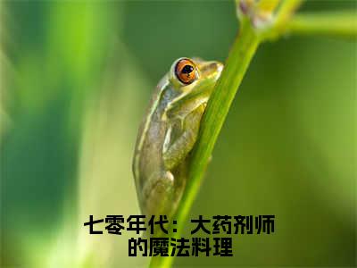 小说七零年代：大药剂师的魔法料理（云舒顾远洲）全文免费阅读-最火热门小说七零年代：大药剂师的魔法料理最新章节更新