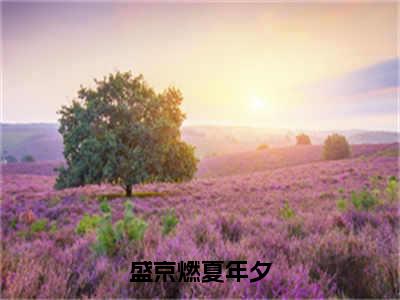 小说盛京燃夏年夕在线阅读-正版小说《夏年夕盛京燃》盛京燃夏年夕全文阅读