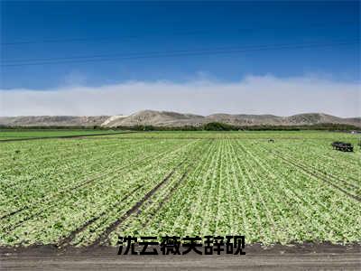 沈云薇关辞砚珍藏美文读物沈云薇关辞砚-沈云薇关辞砚已完结全集大结局小说沈云薇关辞砚