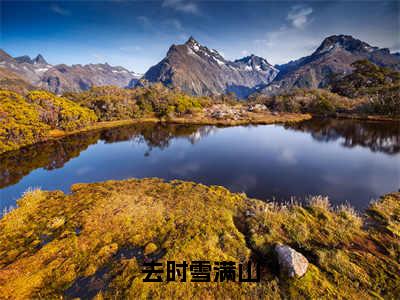 去时雪满山小说韩淑清顾越全文免费阅读（去时雪满山已完结）