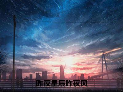 沈琰温沁完整版（昨夜星辰昨夜风小说）全文免费阅读无弹窗大结局_昨夜星辰昨夜风最新章节