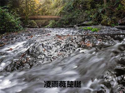 凌雨薇楚樾（凌雨薇楚樾）全文免费阅读无弹窗大结局_凌雨薇楚樾最新章节列表_笔趣阁