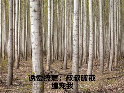 诱爱撩惹：叔叔破戒缠宠我（阮皓晟沈七七）全文免费大结局，诱爱撩惹：叔叔破戒缠宠我结局在线阅读