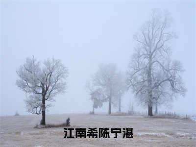 陈宁湛江南希（江南希陈宁湛）全文免费阅读_江南希陈宁湛全文阅读_笔趣阁